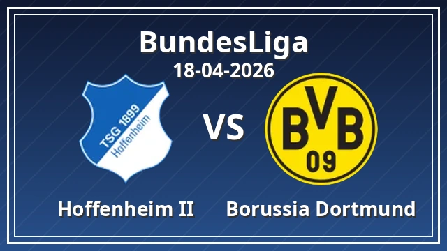 Hoffenheim vs Borussia Dortmund